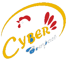 Cyber Compact